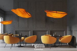 Cumulus lighting - Passion 4 Wood _3